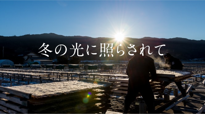 冬の光に照らされて